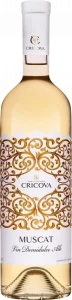 Cricova Lace Muscat
